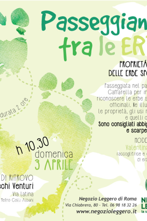 Passeggiata-erbe-spontanee