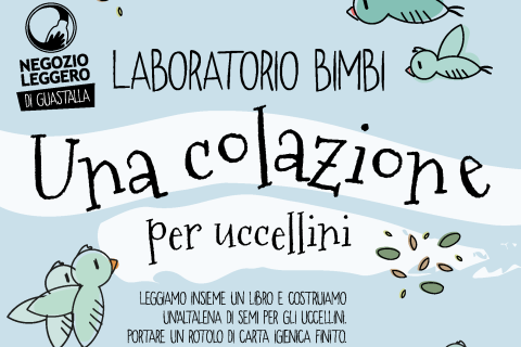 GUASTALLA Una colazione per uccellini SITO-03