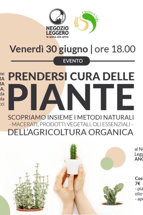 ANCONA – come prendersi cura delle piante SITO-01-01