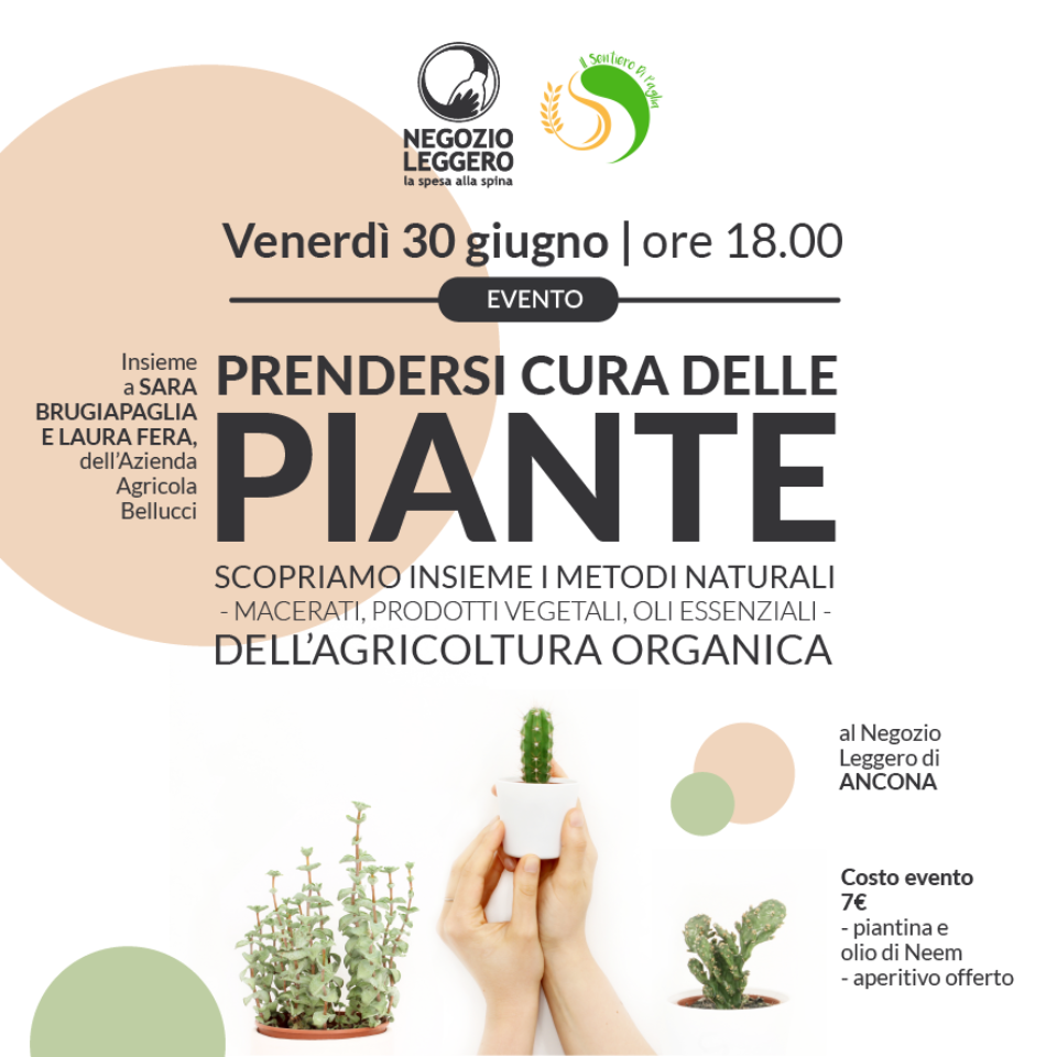 ANCONA – come prendersi cura delle piante SITO-01-01