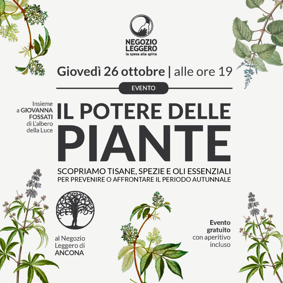 ANCONA – curarsi con le piante SITO-03