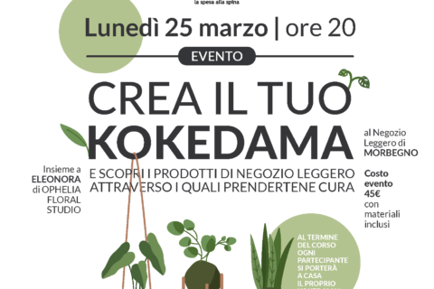 MORBEGNO kokedama SITO-01