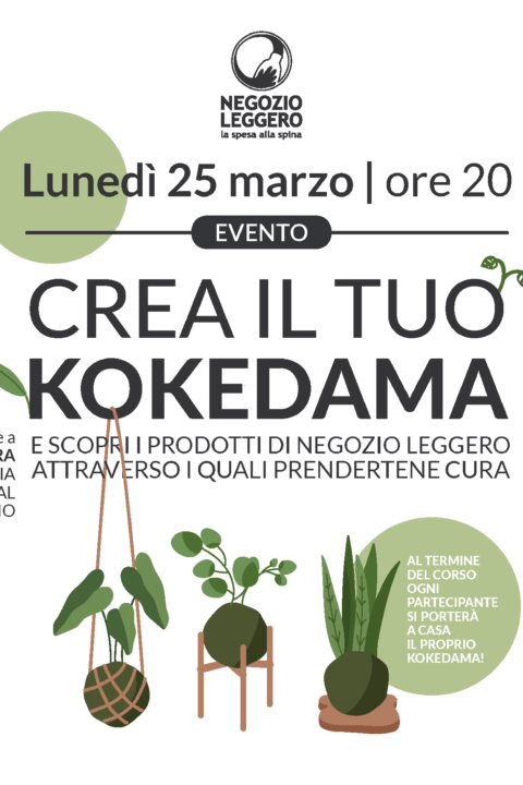 MORBEGNO kokedama SITO-01