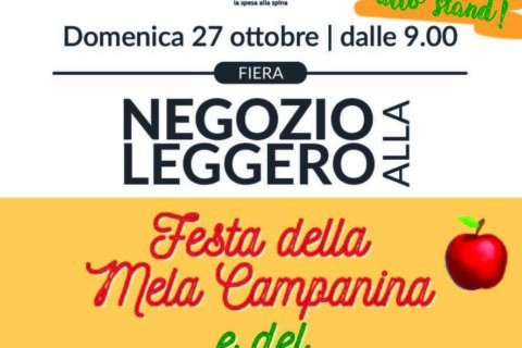 GUASTALLA_fiera mela capannina-sito